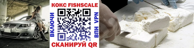 COCAIN Fish Scale  это как зайти  Павловск  как найти закладки 