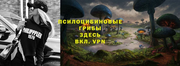 мяу мяу кристалл Вяземский